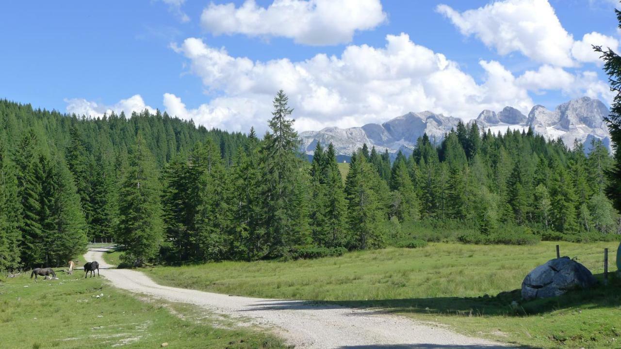 Alpenhaus Dachstein.Zauber Apartamento Abtenau Exterior foto