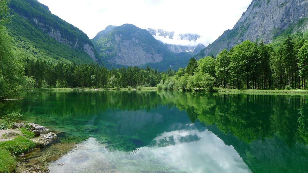 Alpenhaus Dachstein.Zauber Apartamento Abtenau Exterior foto